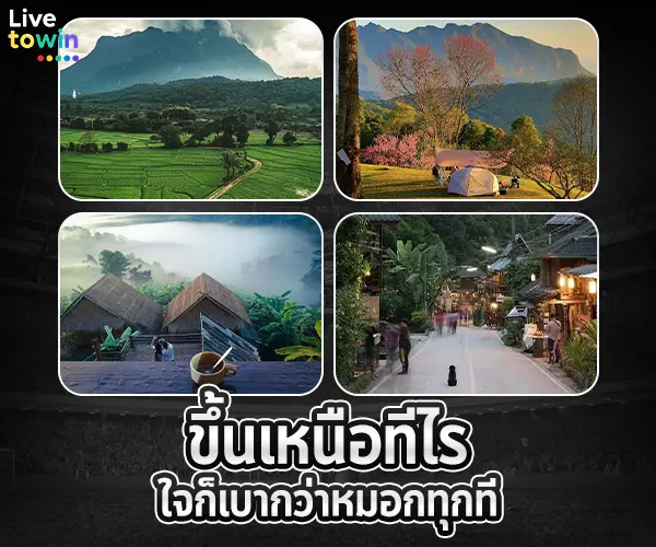 livetowin แพลนเที่ยวไทย